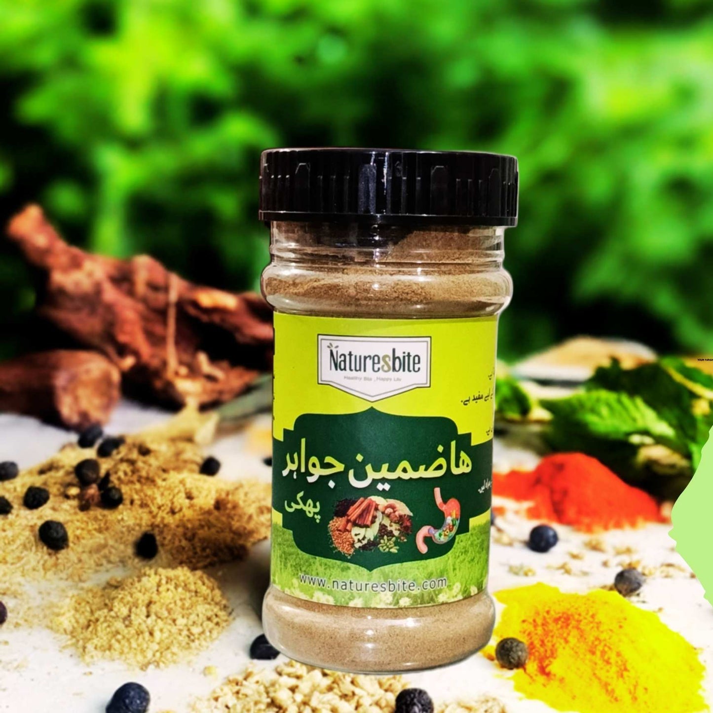 Hazmeen e Jawahir Phakki