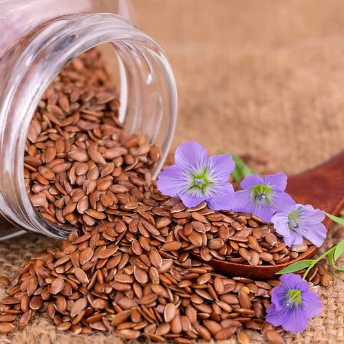 Flax Seeds - Alsi