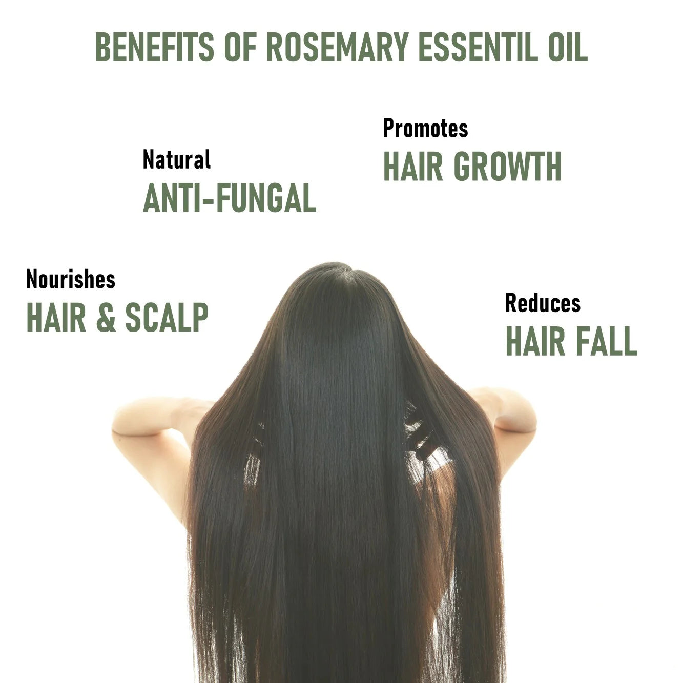 Rosemary Oil