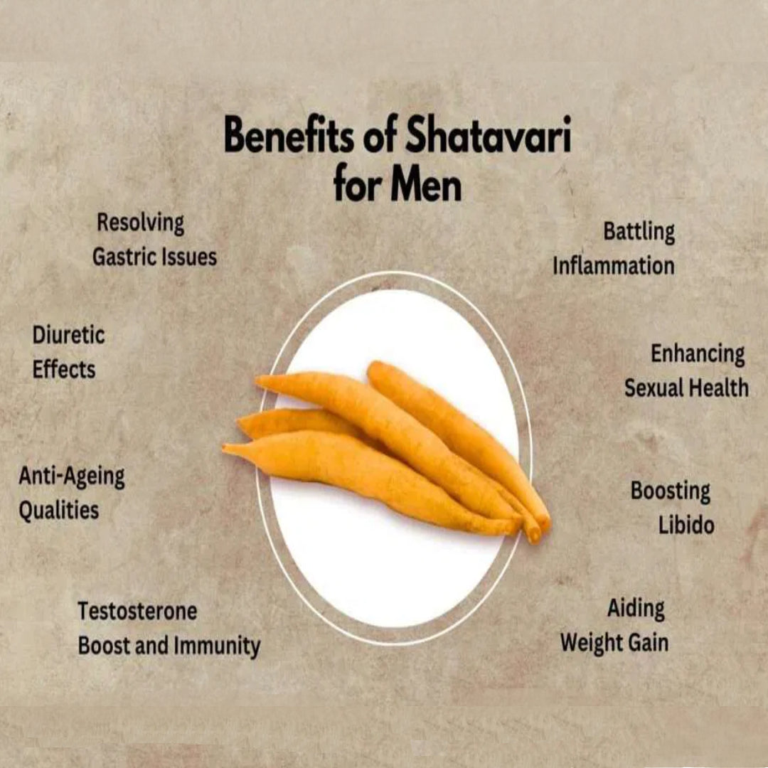 Shatavari (Queen of Herbs)